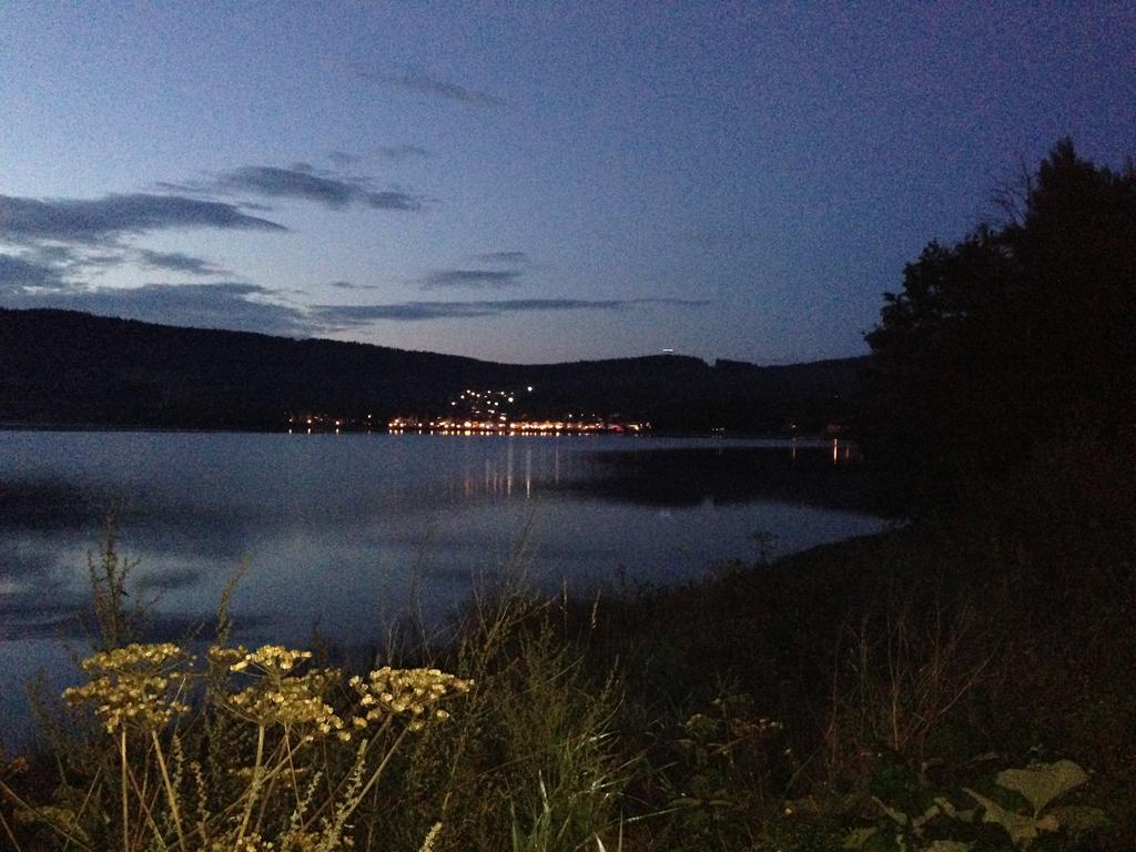 Apartman Martin Lipno nad Vltavou Oda fotoğraf